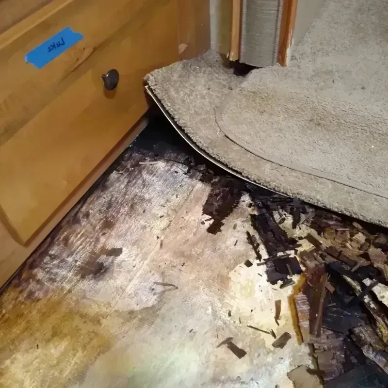 Wood Floor Water Damage in Jarrettsville, MD